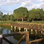 Casa Luciano Centro בלריה-איגאה מרינה
